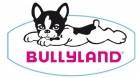 Bullyland