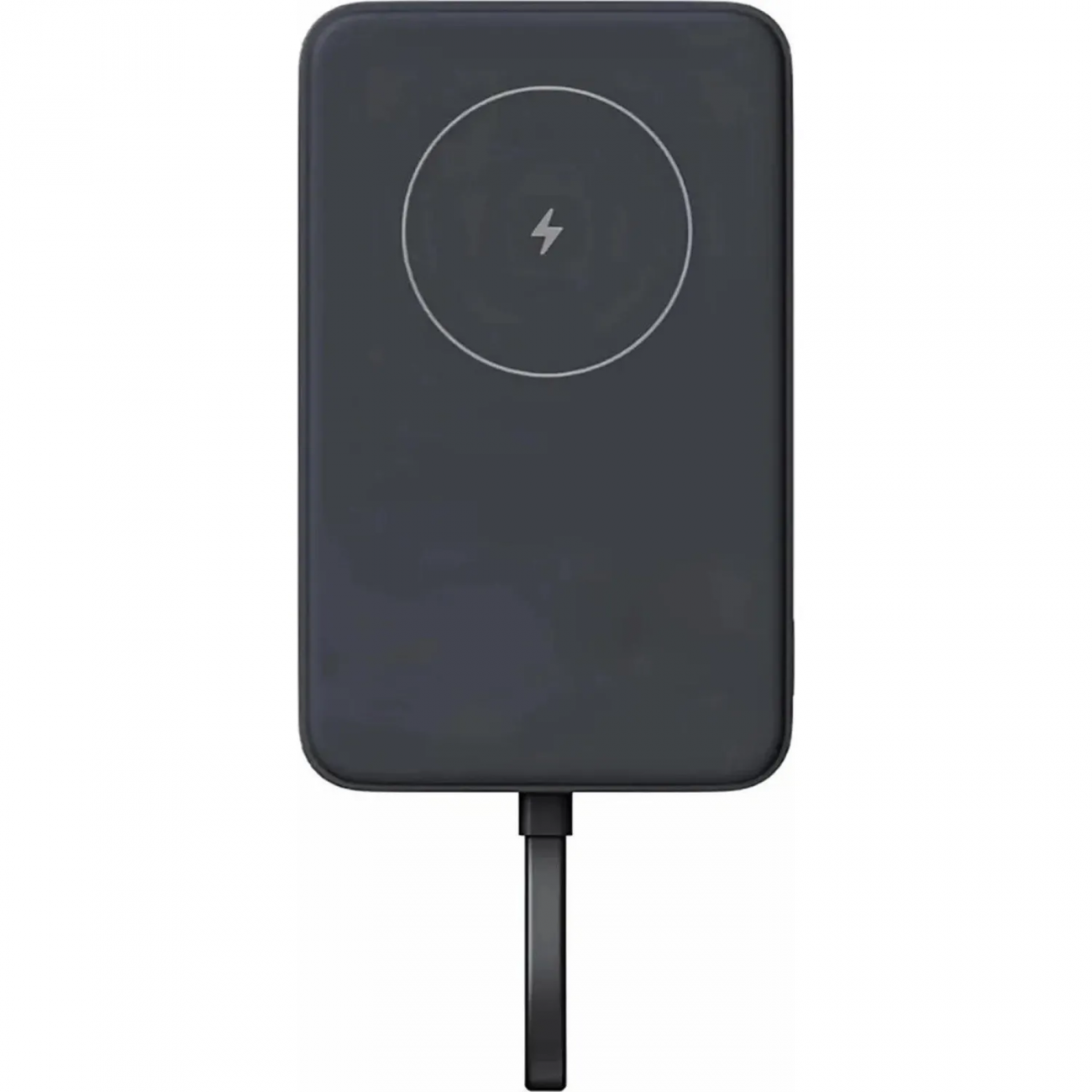 Внешний аккумулятор с кабелем Xiaomi BHR9823GL 33W Magnetic 10000mAh Gray 2427530