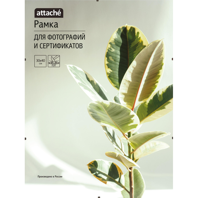 Рамка КЛИП 30х40 Attache 1603604