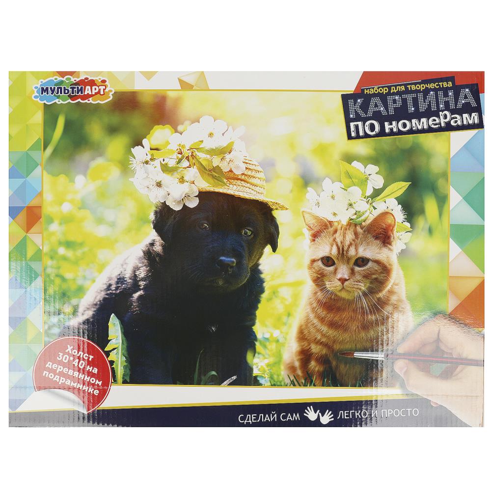 Картина по номерам 30х40 см. Кот и собака МУЛЬТИ АРТ CANV30X40-MULTI68