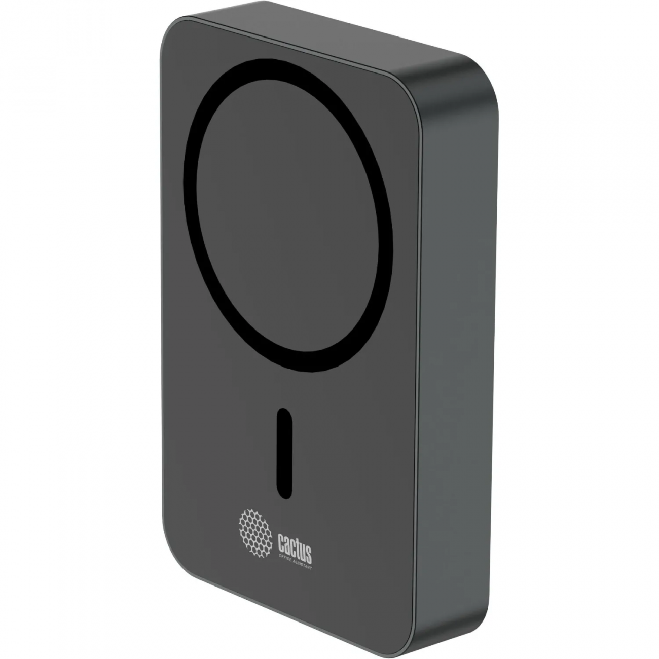 Внешний аккумулятор Cactus CS-PBFSTA-10000 22.5W 4.5A USB-C беспр.зар.сер 2358126