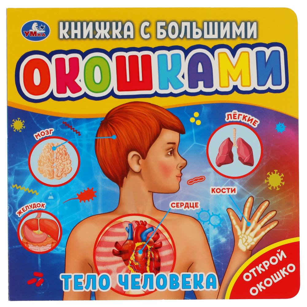 Книжка с большими окошками Тело человека УМка 9785506045724