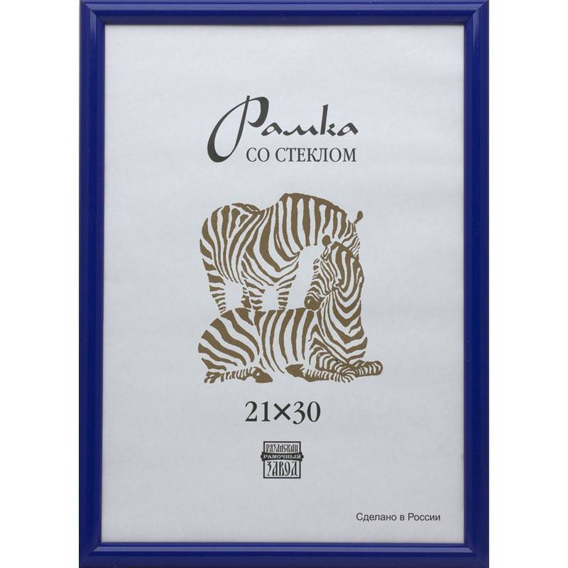 Рамка Зебра А4 21x30 см пластиковый багет 19 мм синяя 701495