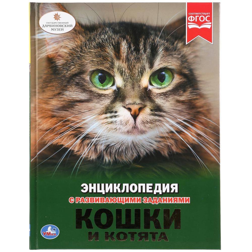 Энциклопедия "Кошки и Котята" (А4) Умка 978-5-506-02698-3