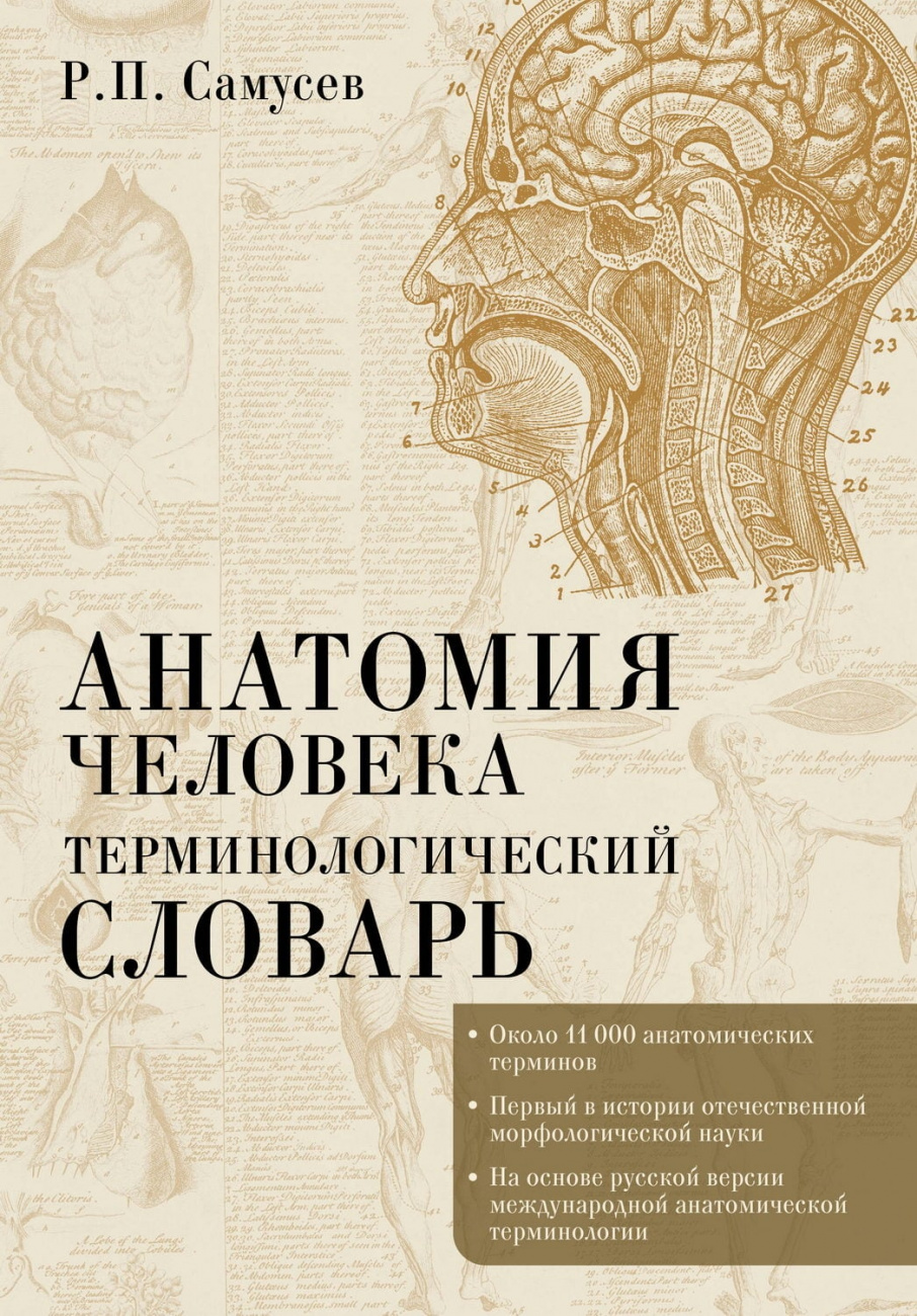 Книга АСТ Анатомия человека.Терминологический словарь Самусев Р.П. 166270-7