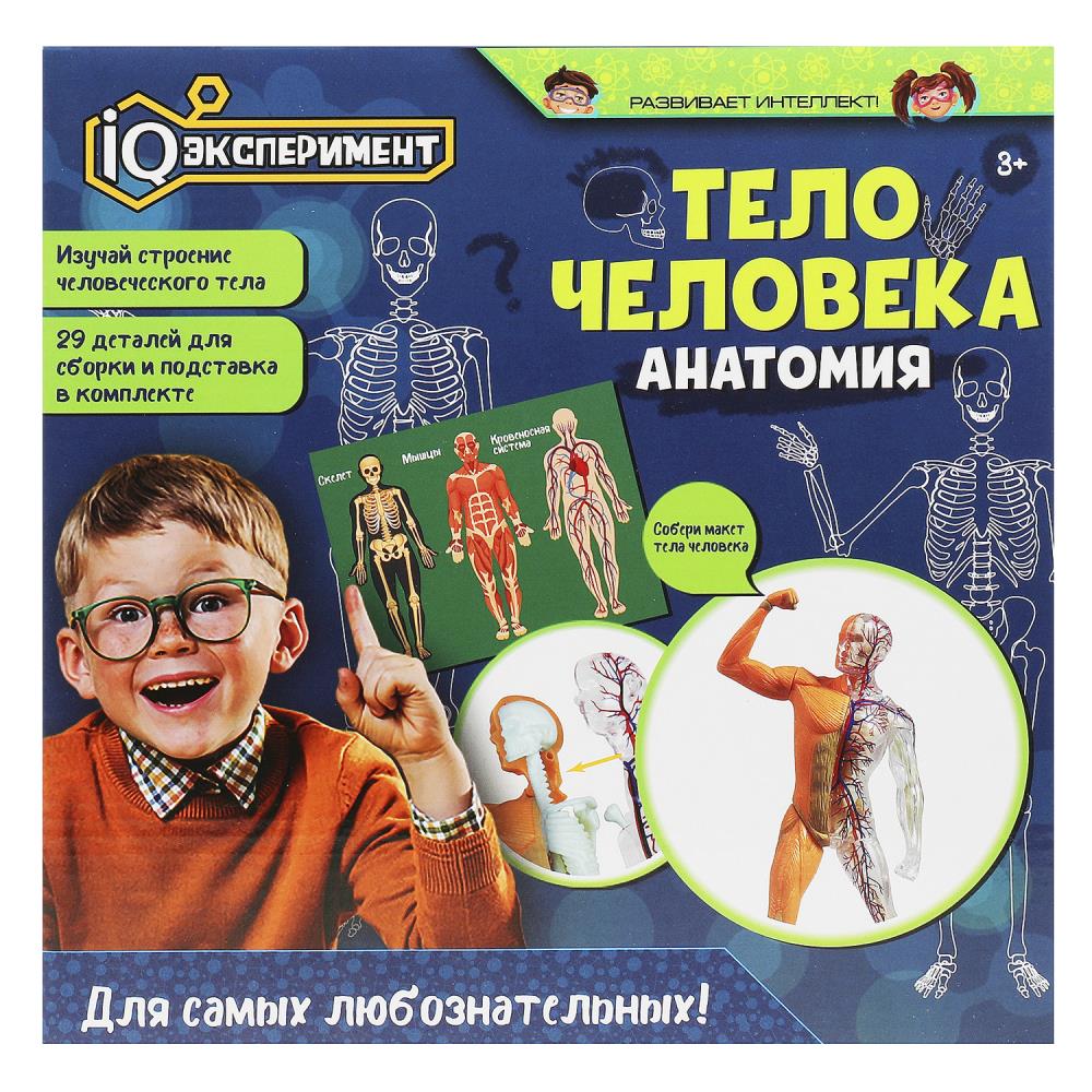 Набор для опытов Тело человека IQ Эксперимент A365-H24040-R