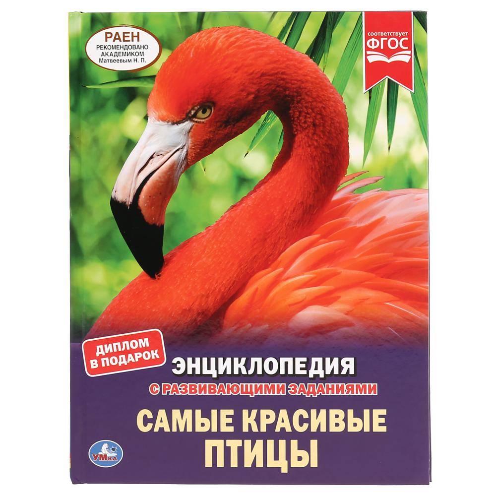 Энциклопедия "Самые красивые птицы" Умка 978-5-506-04304-1