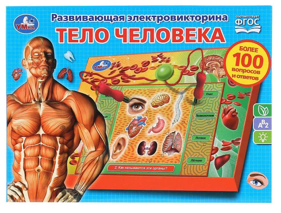 Электровикторина "Тело человека" более 100 вопросов и ответов Умка HT522-R