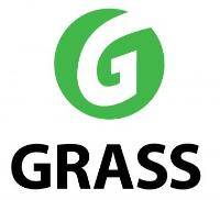 Grass