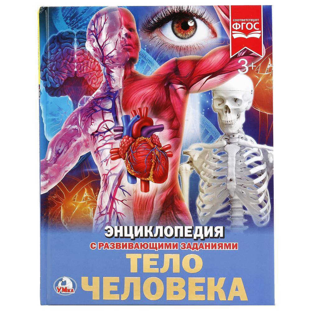 "Тело человека" (энциклопедия) твердый переплет, 48 стр Умка 978-5-506-02168-1