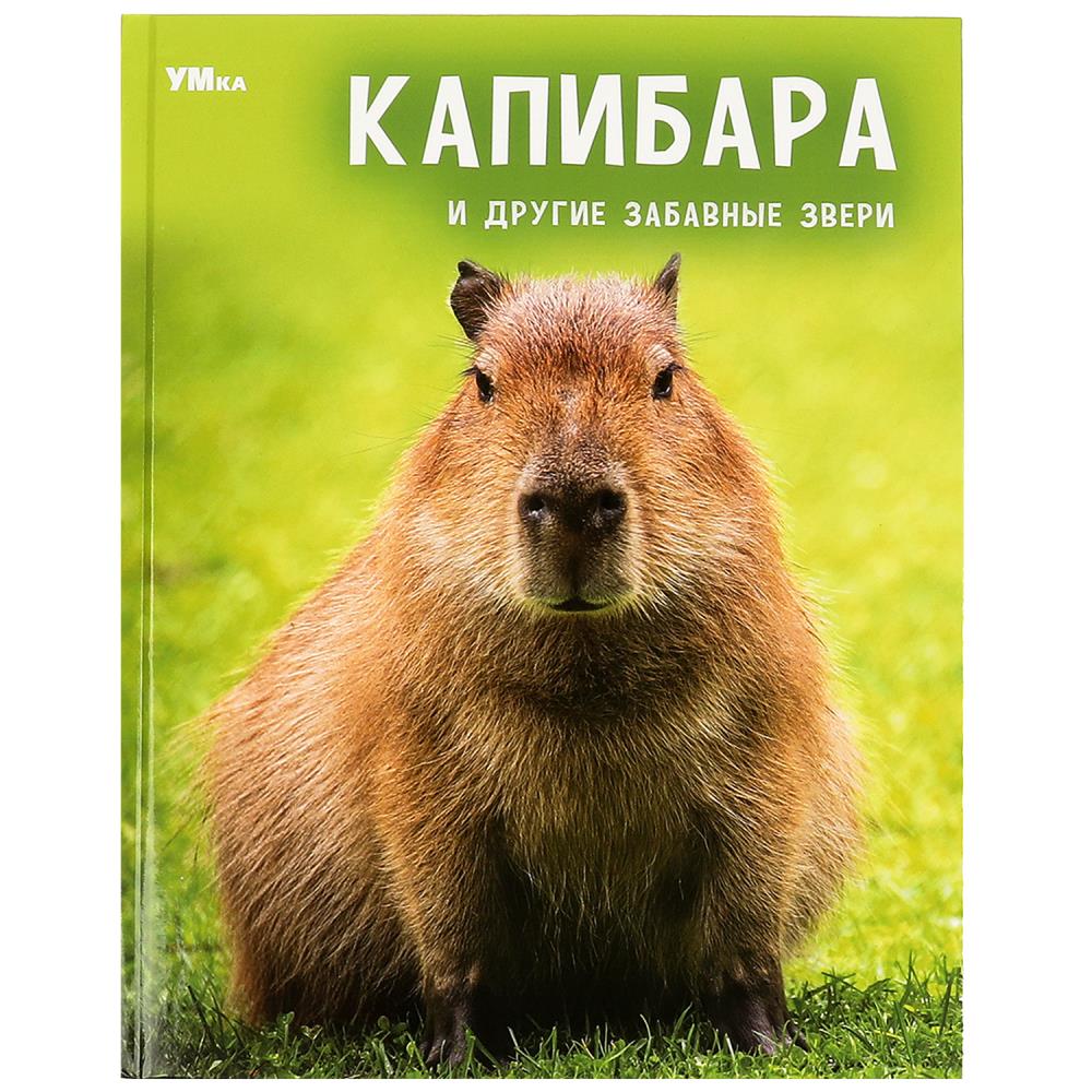 Энциклопедия Умка "Капибара и другие забавные звери" 978-5-506-09105-9