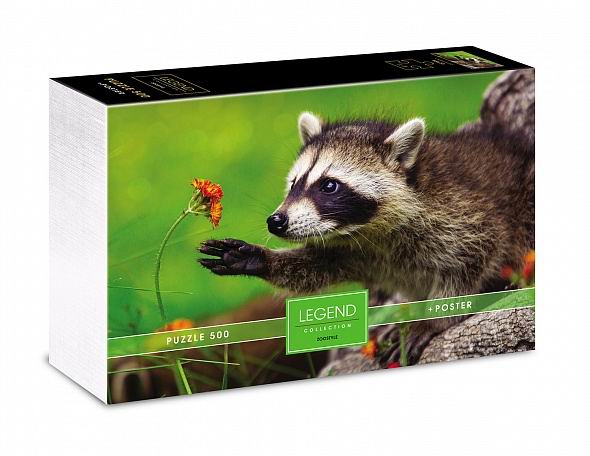 Пазл Hatber Premium LEGEND ZooStyle-Любопытный енот 500 элементов, формат А2 480х330мм 071316