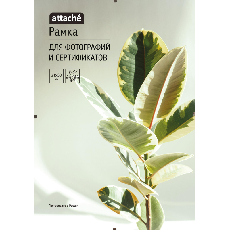 Рамка Attache КЛИП 21х30 1603603
