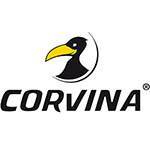 Corvina